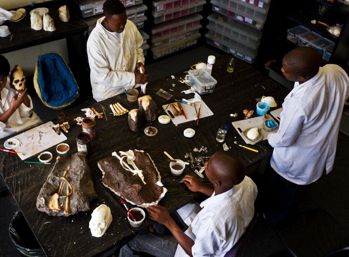Cradle of Humankind tour from Johannesburg