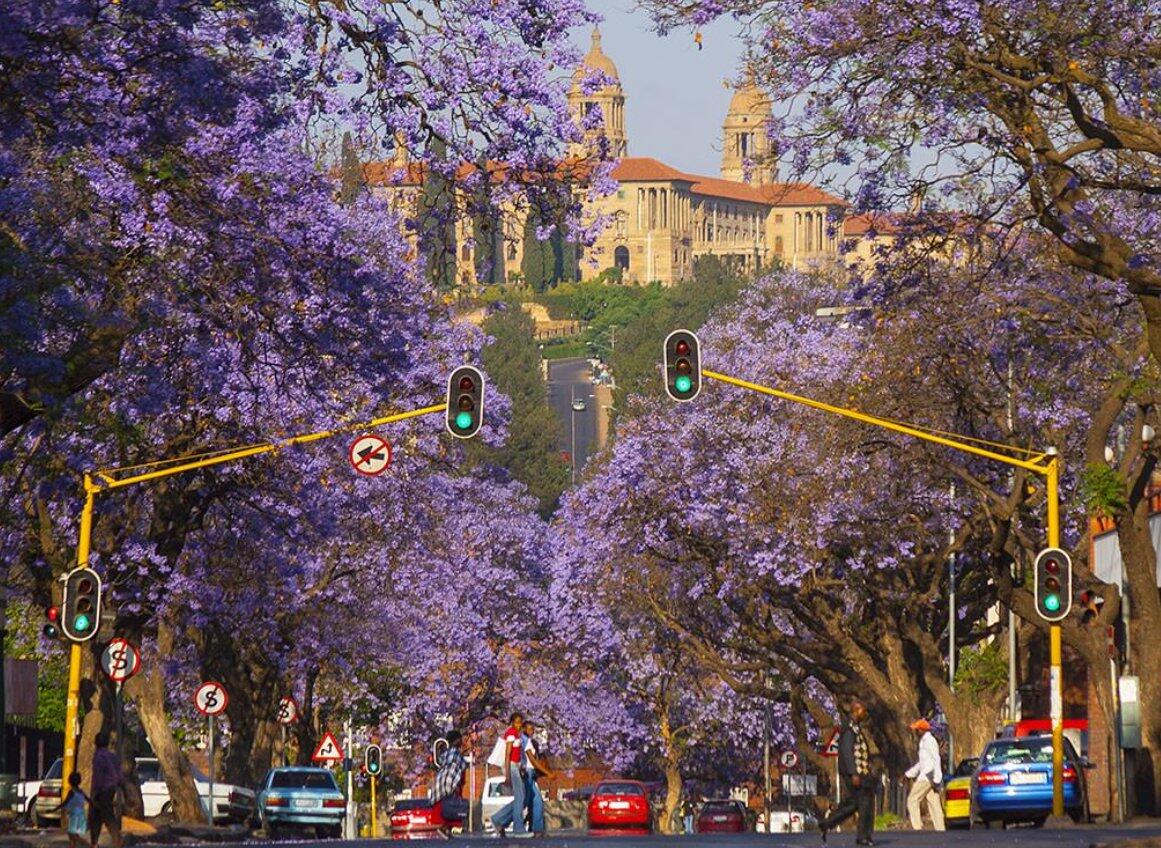 Pretoria day tour from Johannesburg